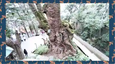 來宮神社(静岡県)