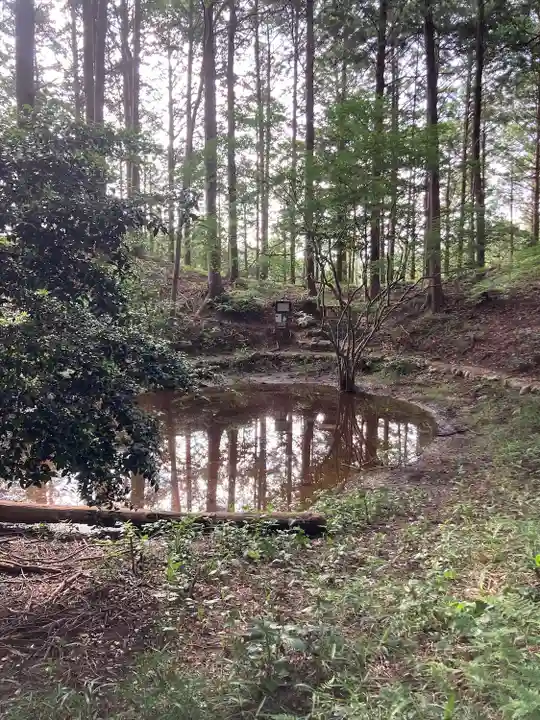 天宮神社の自然