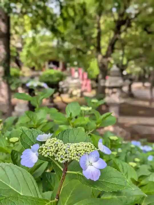 長命寺(東京都)