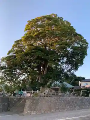 西福院(千葉県)