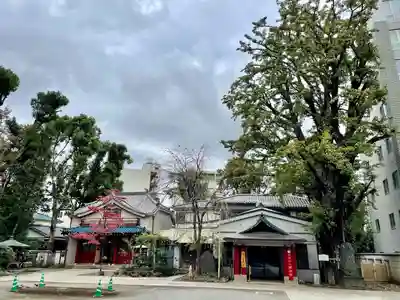 品川寺(東京都)