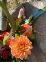 岡部春日神社~👹鬼門よけの🌺花咲く🌺やしろ~の手水舎