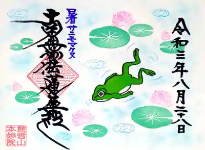 蓮の咲く池でアマガエル🐸がス～イスイ😄