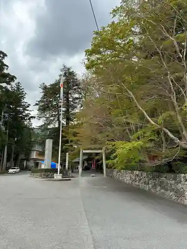 椿大神社の鳥居