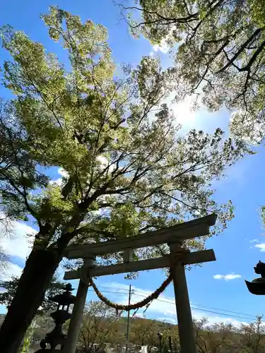 白鳥神社の鳥居