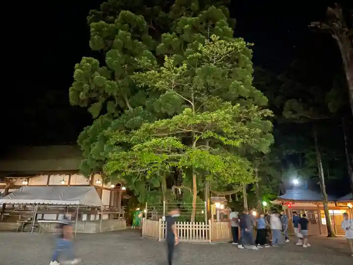 大神神社の自然