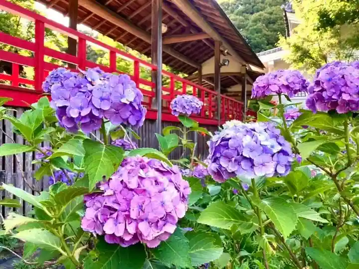 本土寺(千葉県)