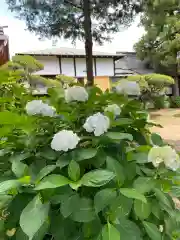 武蔵第六天神社の自然