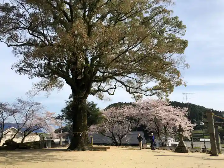 荒穂神社の自然