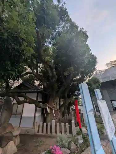 楠永神社(大阪府)