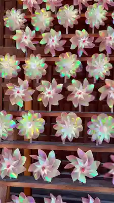 姫嶋神社(大阪府)