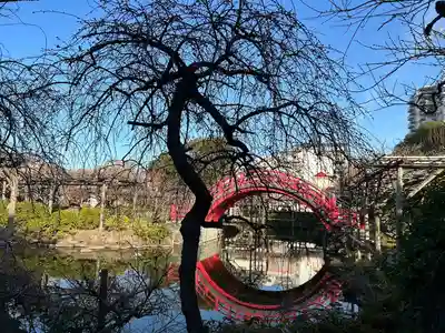 亀戸天神社(東京都)