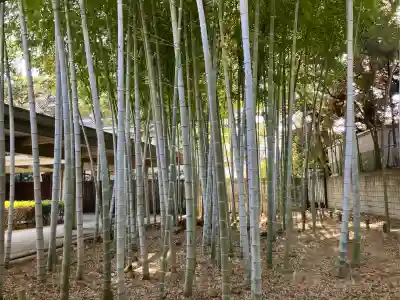 乗泉寺の{uncategorized: "未分類", other: "その他", undefined: "問題あり", building: "その他建物", grave: "お墓", sacred_gate: "鳥居", guardian: "狛犬", statue: "像", buddha: "仏像", history: "歴史", nature: "自然", garden: "庭園", animal: "動物", pagoda: "塔", temizu: "手水舎", mountain_gate: "山門・神門", sanctuary: "本殿・本堂", subordinate: "末社・摂社", art: "芸術", scenery: "景色", jizo: "地蔵", ema: "絵馬", goshuin: "御朱印", omikuji: "おみくじ", items: "授与品その他", amulet: "お守り", goshuincho: "御朱印帳", eats: "食事", festival: "お祭り", votive_dance: "神楽", shichigosan: "七五三参", wedding: "結婚式", experience: "体験その他", initially: "初詣", around: "周辺", anti_infection: "感染症対策"}