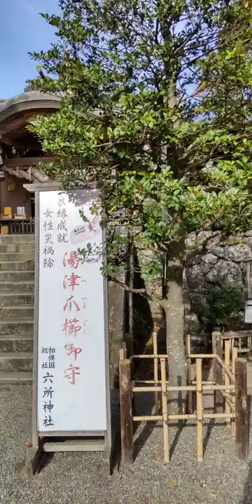 相模国総社六所神社(神奈川県)