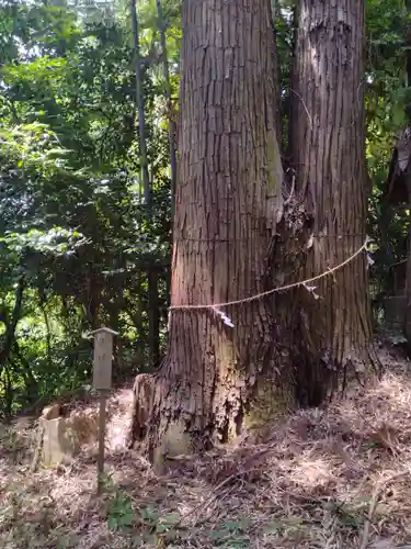 熊野神社(宮城県)