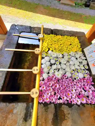 土津神社｜こどもと出世の神さまの手水