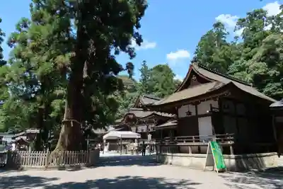 大神神社(奈良県)