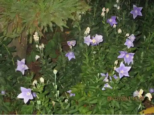 晴明神社の自然