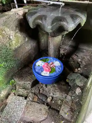 大聖寺(亀岡文殊)の手水舎
