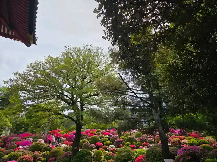 根津神社の{uncategorized: "未分類", other: "その他", undefined: "問題あり", building: "その他建物", grave: "お墓", sacred_gate: "鳥居", guardian: "狛犬", statue: "像", buddha: "仏像", history: "歴史", nature: "自然", garden: "庭園", animal: "動物", pagoda: "塔", temizu: "手水舎", mountain_gate: "山門・神門", sanctuary: "本殿・本堂", subordinate: "末社・摂社", art: "芸術", scenery: "景色", jizo: "地蔵", ema: "絵馬", goshuin: "御朱印", omikuji: "おみくじ", items: "授与品その他", amulet: "お守り", goshuincho: "御朱印帳", eats: "食事", festival: "お祭り", votive_dance: "神楽", shichigosan: "七五三参", wedding: "結婚式", experience: "体験その他", initially: "初詣", around: "周辺", anti_infection: "感染症対策"}