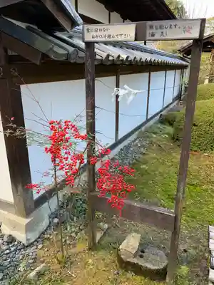 雲龍院(京都府)