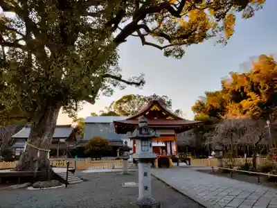 平野神社(京都府)
