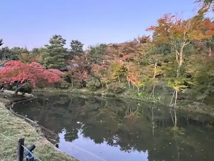 高台寺(高台寿聖禅寺・高臺寺)(京都府)