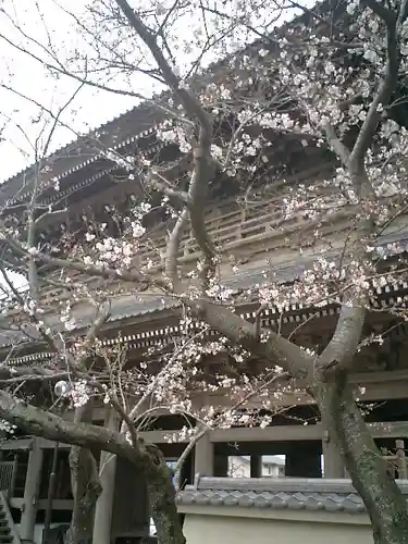 光明寺の山門・神門
