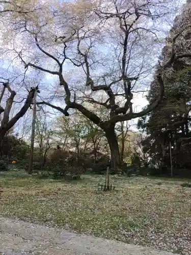光丸山 法輪寺(栃木県)
