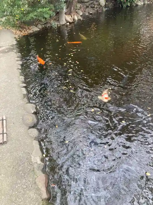 平塚八幡宮(神奈川県)