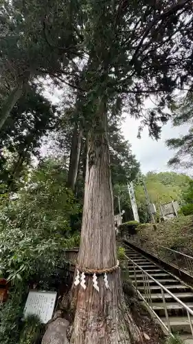 神場山神社(静岡県)