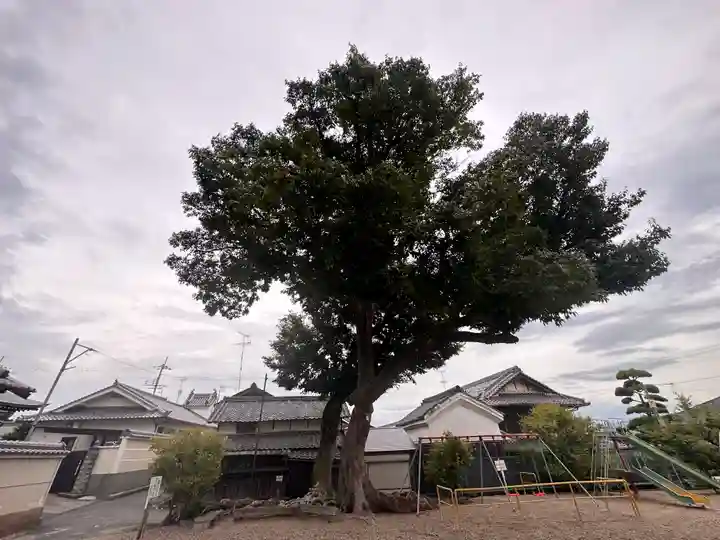 大坂山口神社(逢坂)(奈良県)