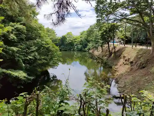 射水神社の周辺