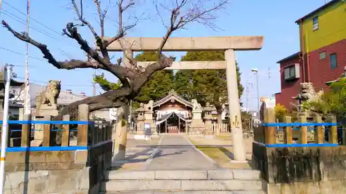 池鯉鮒社の鳥居