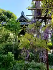 圓照寺(東京都)