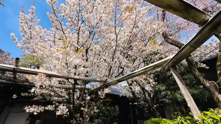 雨宝院(京都府)