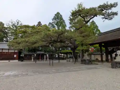 立木神社(滋賀県)