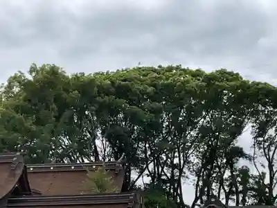 尾張大國霊神社(国府宮)(愛知県)