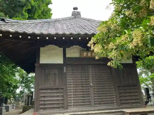 妙覚寺(東京都)
