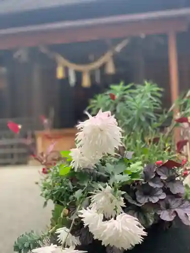 星川杉山神社の自然