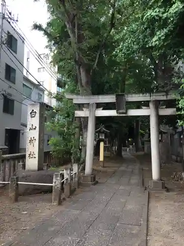 荻窪白山神社の鳥居