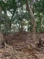 葦芽神社(千葉県)