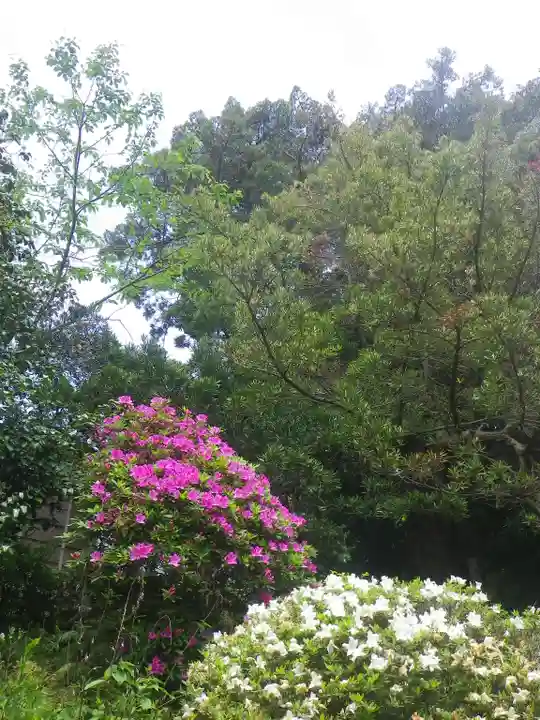 浄光明寺の庭園