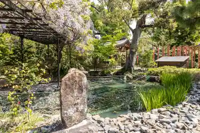 辛國神社のその他建物