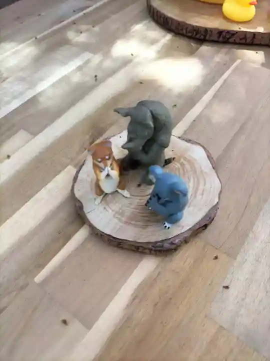 札幌諏訪神社の像