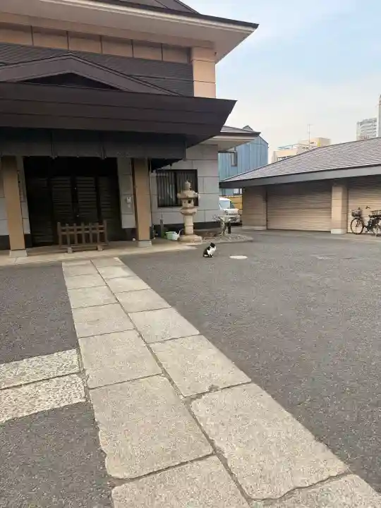 白金氷川神社の{uncategorized: "未分類", other: "その他", undefined: "問題あり", building: "その他建物", grave: "お墓", sacred_gate: "鳥居", guardian: "狛犬", statue: "像", buddha: "仏像", history: "歴史", nature: "自然", garden: "庭園", animal: "動物", pagoda: "塔", temizu: "手水舎", mountain_gate: "山門・神門", sanctuary: "本殿・本堂", subordinate: "末社・摂社", art: "芸術", scenery: "景色", jizo: "地蔵", ema: "絵馬", goshuin: "御朱印", omikuji: "おみくじ", items: "授与品その他", amulet: "お守り", goshuincho: "御朱印帳", eats: "食事", festival: "お祭り", votive_dance: "神楽", shichigosan: "七五三参", wedding: "結婚式", experience: "体験その他", initially: "初詣", around: "周辺", anti_infection: "感染症対策"}