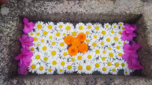 菩提寺の手水舎