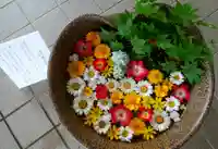 美瑛神社の手水舎