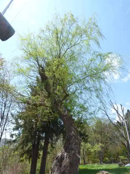 留辺蘂神社の自然