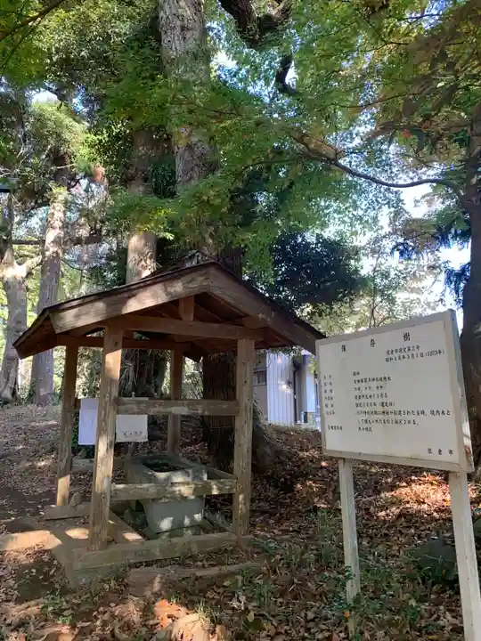 麻賀多神社(千葉県)